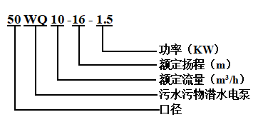 WQ汙水汙物潛水電泵(圖1)