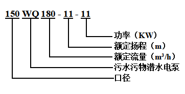 汙水汙物潛水電泵(圖1)